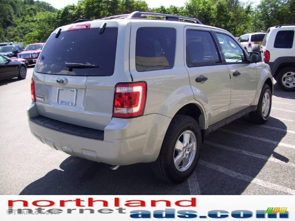 2009 Escape XLT - Light Sage Metallic / Charcoal photo #4