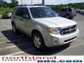 2009 Light Sage Metallic Ford Escape XLT  photo #5