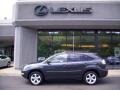 2007 Flint Gray Mica Lexus RX 350 AWD  photo #2