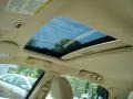 Light French Silk Metallic - Town Car Signature Limited Photo No. 12