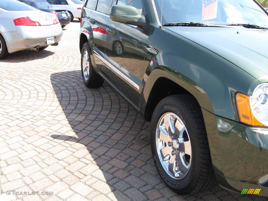 2008 Grand Cherokee Limited - Jeep Green Metallic / Dark Slate Gray/Light Graystone photo #6