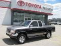 Pewter Pearl Metallic - T100 Truck SR5 Extended Cab 4x4 Photo No. 1