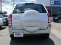Quicksilver Metallic - Grand Vitara  Photo No. 5