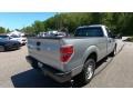 Ingot Silver Metallic - F150 XL Regular Cab Photo No. 7