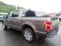 2020 Stone Gray Ford F150 King Ranch SuperCrew 4x4  photo #4