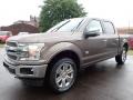 2020 Stone Gray Ford F150 King Ranch SuperCrew 4x4  photo #6