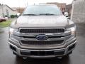 2020 Stone Gray Ford F150 King Ranch SuperCrew 4x4  photo #7