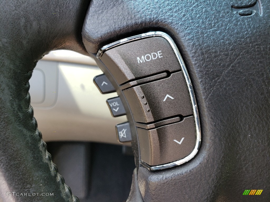 2009 Sonata SE V6 - Slate Blue / Gray photo #19