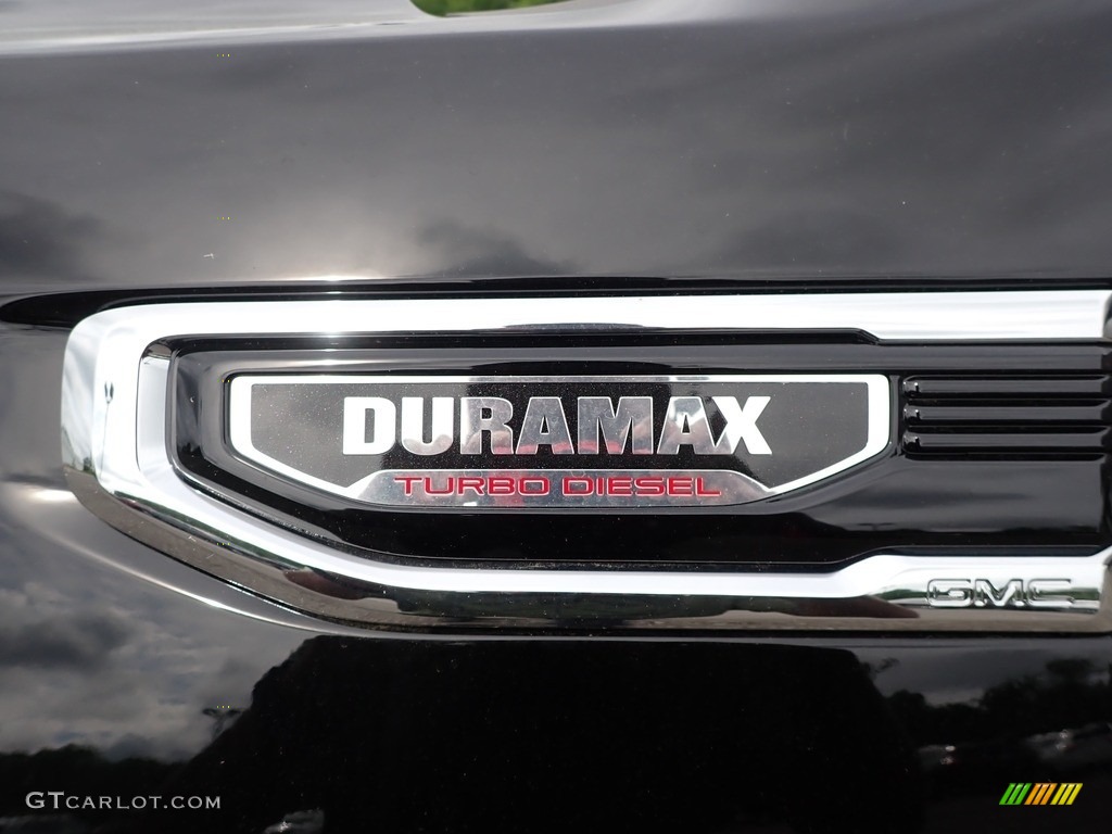 2020 GMC Sierra 1500 Denali Crew Cab 4WD Marks and Logos Photo #138198699