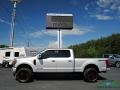 Ingot Silver - F250 Super Duty Platinum Crew Cab 4x4 Photo No. 2