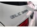 Polar White - GLC 300 Photo No. 27