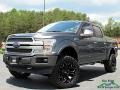 2019 Magnetic Ford F150 Platinum SuperCrew 4x4  photo #1