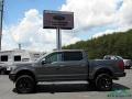 Magnetic - F150 Platinum SuperCrew 4x4 Photo No. 2