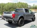 2019 Magnetic Ford F150 Platinum SuperCrew 4x4  photo #5