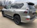 Atomic Silver - GX 460 Premium Photo No. 4