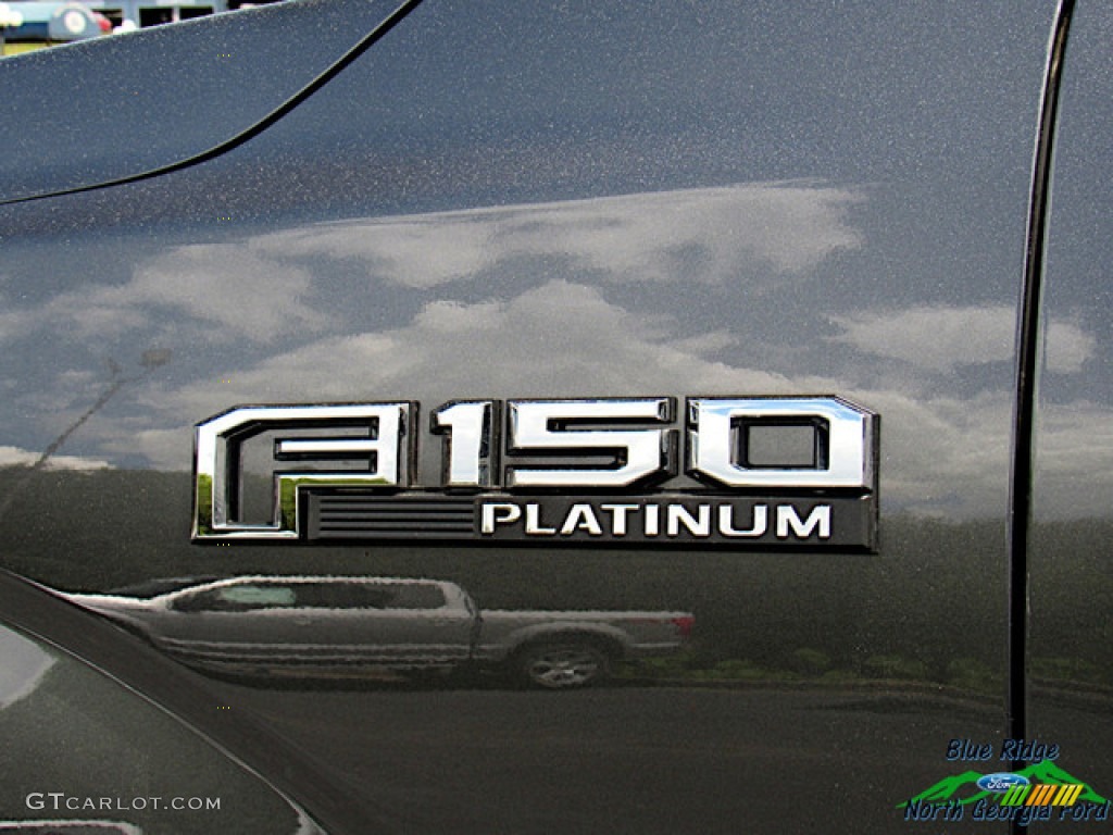 2019 F150 Platinum SuperCrew 4x4 - Magnetic / Black photo #30