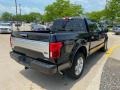 Agate Black - F150 Platinum SuperCrew 4x4 Photo No. 2