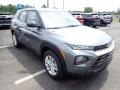 Satin Steel Metallic - TrailBlazer LS Photo No. 8