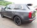 2020 Gravity Grey Kia Telluride SX AWD  photo #5