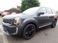 2020 Gravity Grey Kia Telluride SX AWD  photo #7