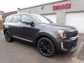 2020 Gravity Grey Kia Telluride SX AWD  photo #9