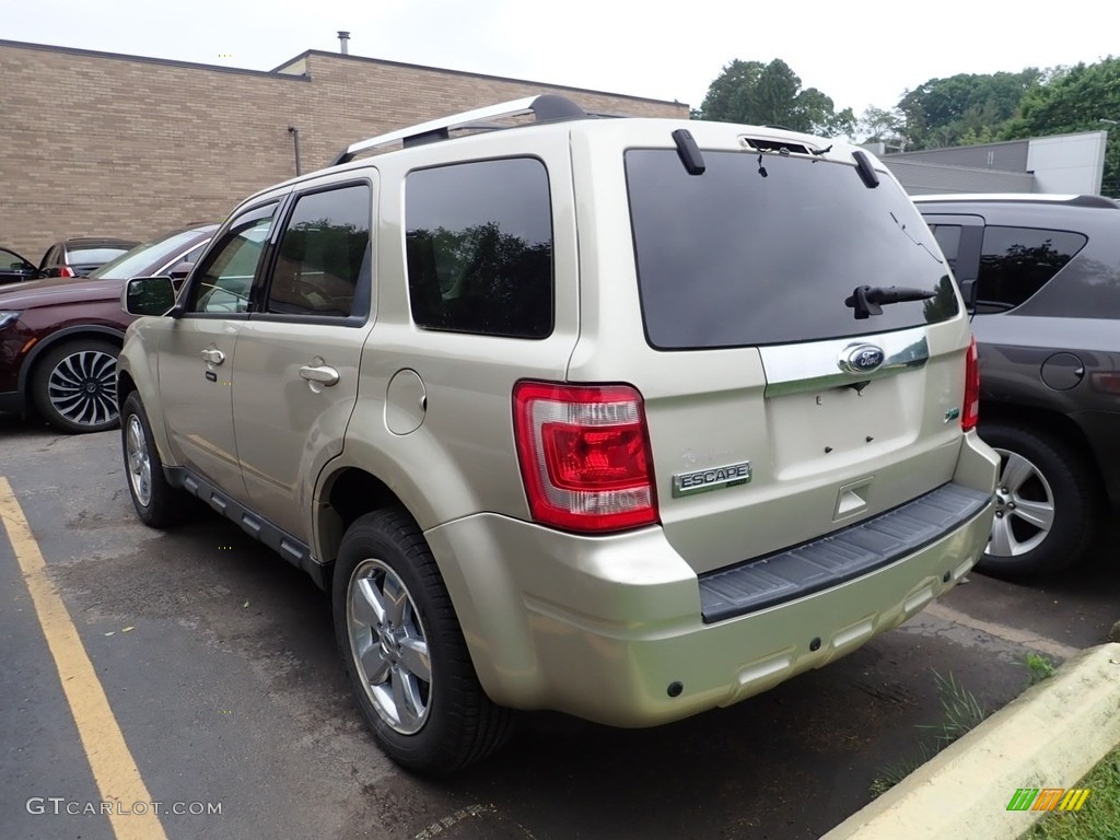 2011 Escape Limited V6 4WD - Gold Leaf Metallic / Camel photo #2