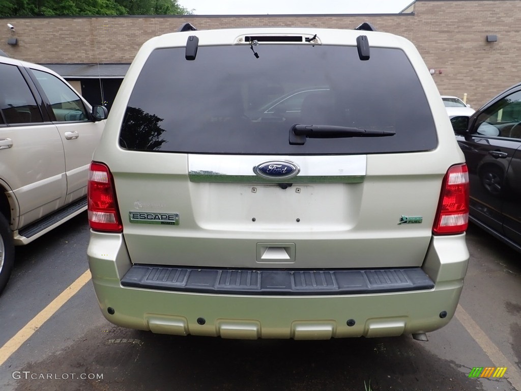 2011 Escape Limited V6 4WD - Gold Leaf Metallic / Camel photo #3