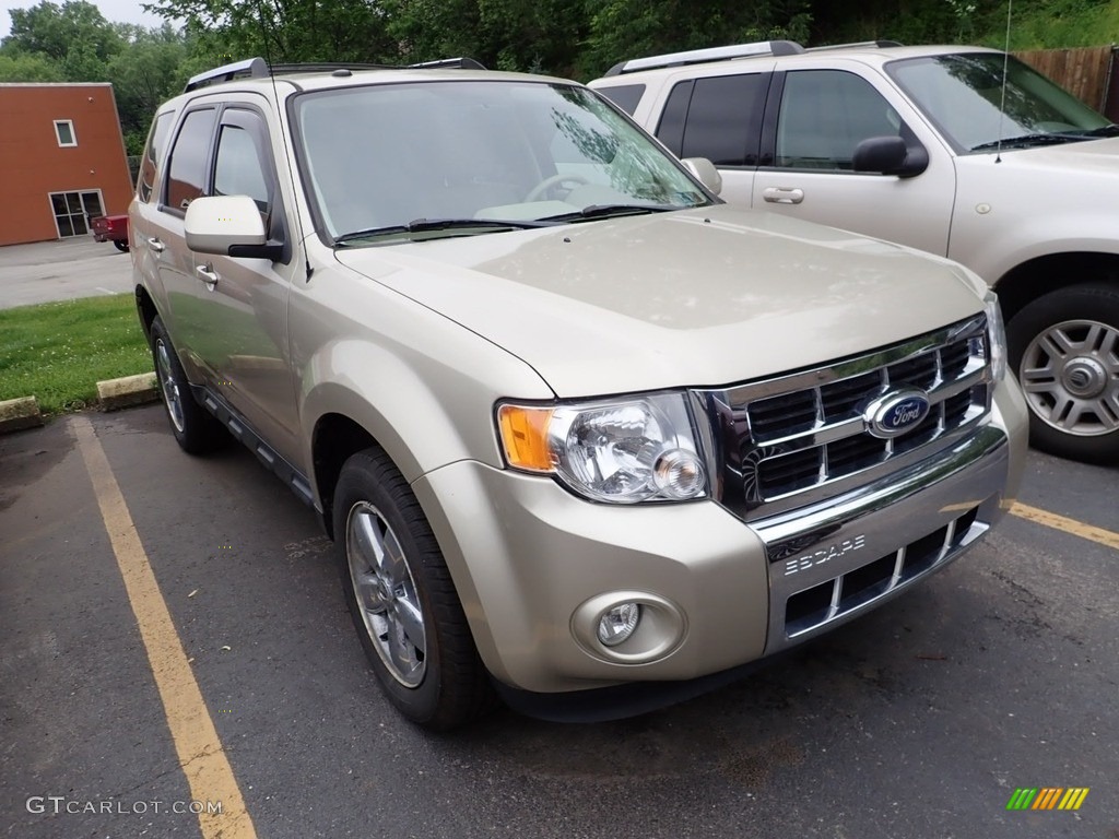 2011 Escape Limited V6 4WD - Gold Leaf Metallic / Camel photo #5