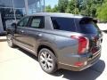 Steel Graphite - Palisade SEL AWD Photo No. 6
