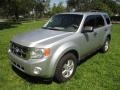 Ingot Silver Metallic 2010 Ford Escape XLT V6