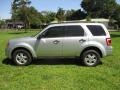 Ingot Silver Metallic - Escape XLT V6 Photo No. 3