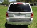 Ingot Silver Metallic - Escape XLT V6 Photo No. 7