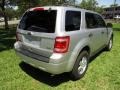 Ingot Silver Metallic - Escape XLT V6 Photo No. 9