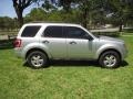 Ingot Silver Metallic - Escape XLT V6 Photo No. 11