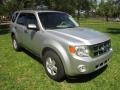 Ingot Silver Metallic - Escape XLT V6 Photo No. 13
