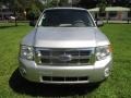 Ingot Silver Metallic - Escape XLT V6 Photo No. 15