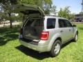 Ingot Silver Metallic - Escape XLT V6 Photo No. 17