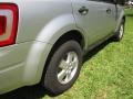 Ingot Silver Metallic - Escape XLT V6 Photo No. 19