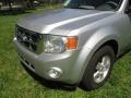 Ingot Silver Metallic - Escape XLT V6 Photo No. 23