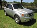 Ingot Silver Metallic - Escape XLT V6 Photo No. 25