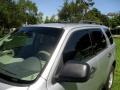 Ingot Silver Metallic - Escape XLT V6 Photo No. 27