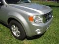 Ingot Silver Metallic - Escape XLT V6 Photo No. 29