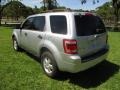 Ingot Silver Metallic - Escape XLT V6 Photo No. 35