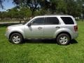 Ingot Silver Metallic - Escape XLT V6 Photo No. 39