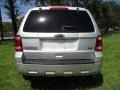 Ingot Silver Metallic - Escape XLT V6 Photo No. 45