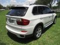 Alpine White - X5 xDrive 50i Photo No. 5