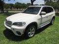 Alpine White - X5 xDrive 50i Photo No. 13