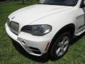 Alpine White - X5 xDrive 50i Photo No. 21