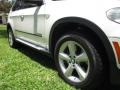 Alpine White - X5 xDrive 50i Photo No. 30