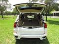 Alpine White - X5 xDrive 50i Photo No. 43